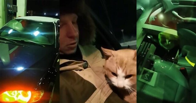 Кот заперся в машине пока хозяин ходил оплачивать бензин