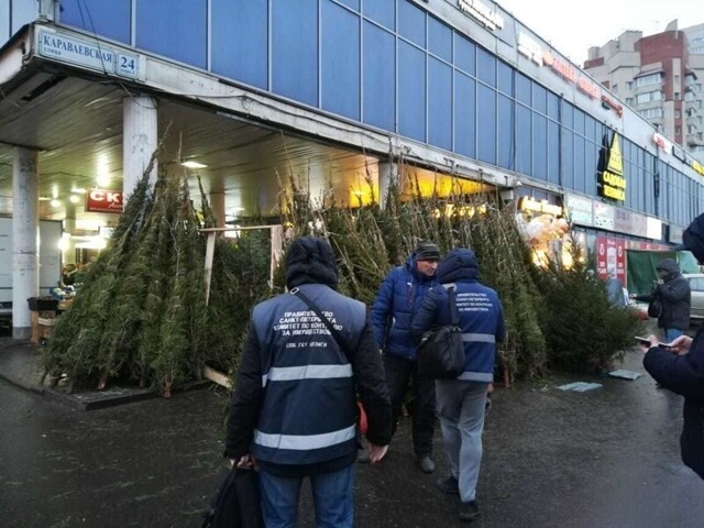 Комитет по контролю за имуществом провёл рейд по незаконным ёлочным базарам