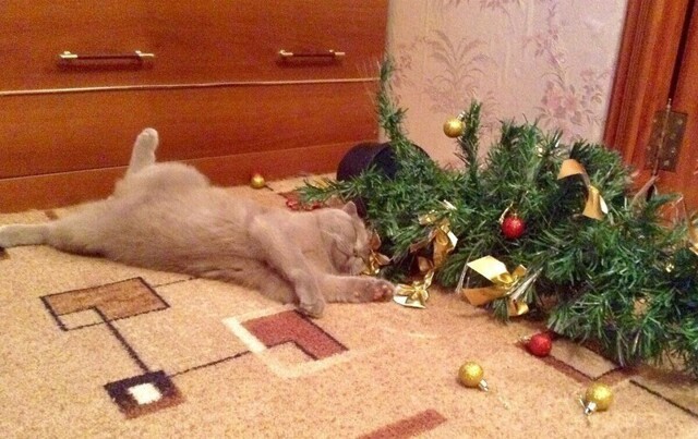 Почему коты так любят портить рождественские ёлки?
