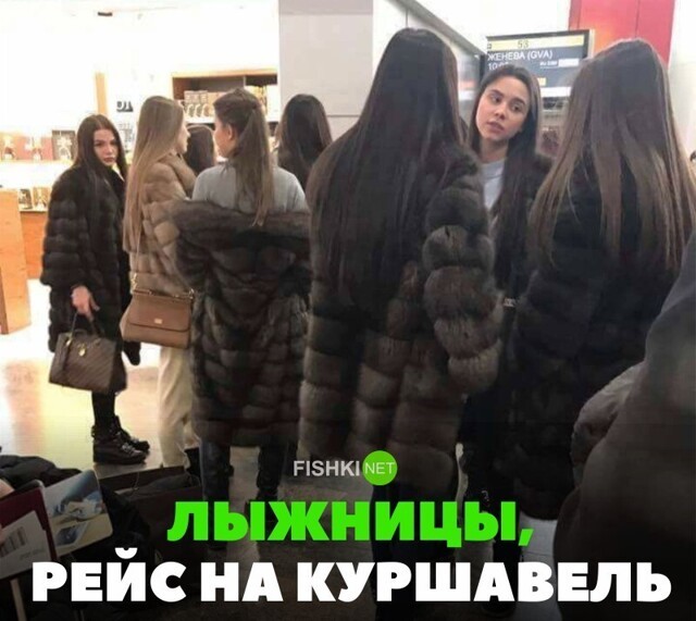 Смешные и познавательные картинки