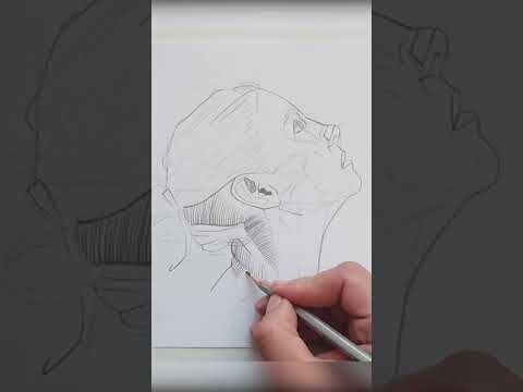 Рисуем портрет в профиль (Короткое видео)