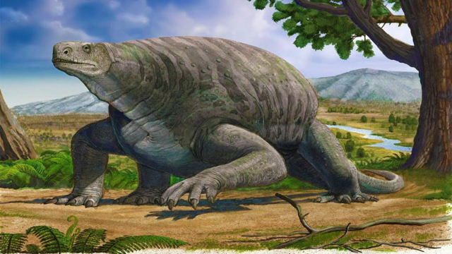 Котилоринх: Пирожок на лапках. Первая попытка эволюции сделать крупного наземного зверя. Что получилось?