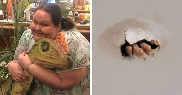 Женщина обнаружила  на потолке своей ванной нечто пушистое