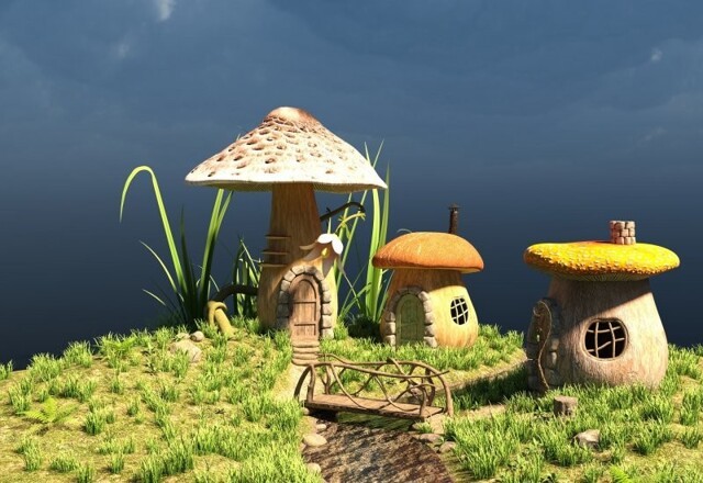 10 самых интересных фактов о грибах