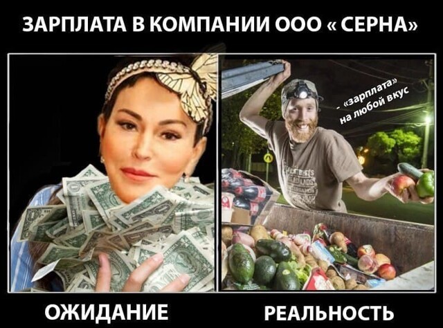 Они работают за стухшую еду – ужасы питерского соцпита