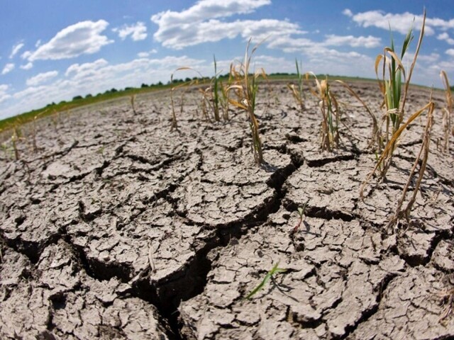 По прогнозам ученых, к 2100 году человечество столкнется с экстремальной засухой