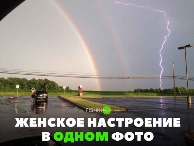 Смешные и познавательные картинки