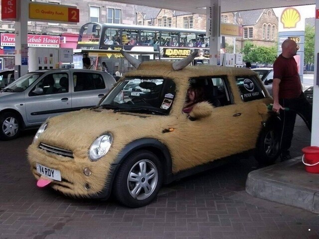 Автовсячина