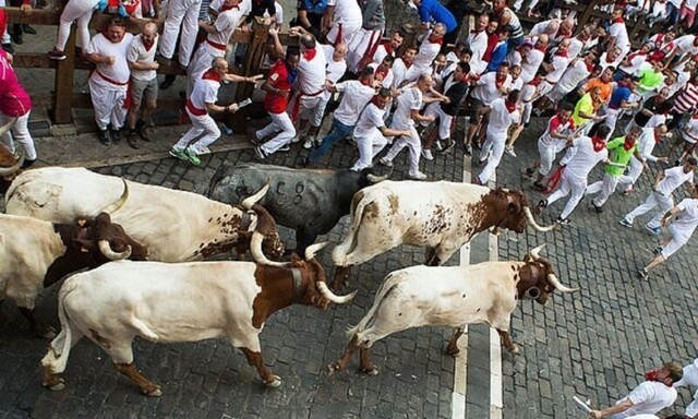 В Памплоне быки снова не выйдут на улицы