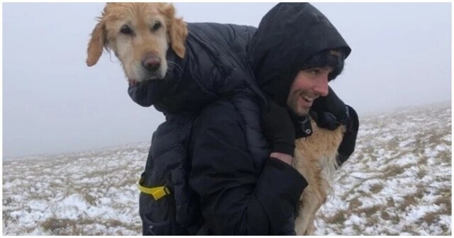 Туристы наткнулись на обессиленную собаку, которая две недели выживала в горах