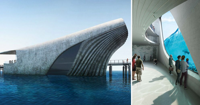 В Австралии построят необычную морскую обсерваторию в форме кита
