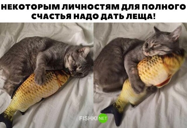 Смешные и познавательные картинки