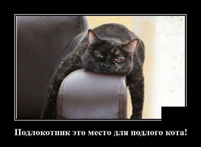 Утренняя ДЕМОТИВАция
