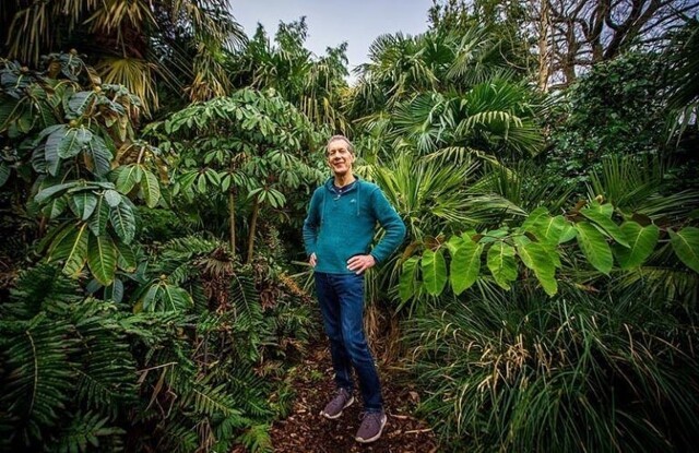 Мужчина потратил 30 лет, чтобы превратить свой сад в невероятные джунгли