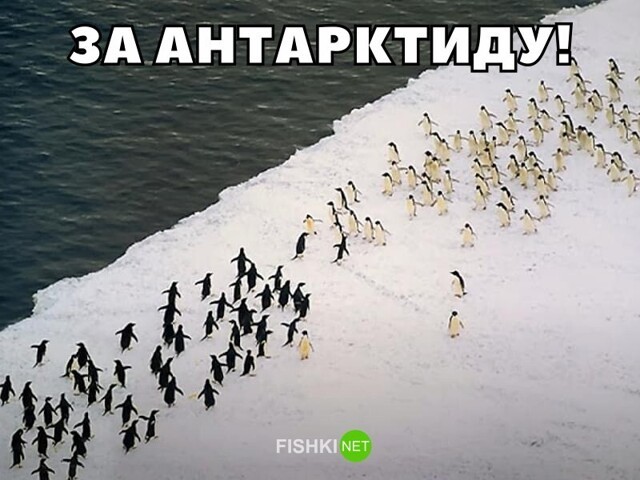 Смешные и познавательные картинки