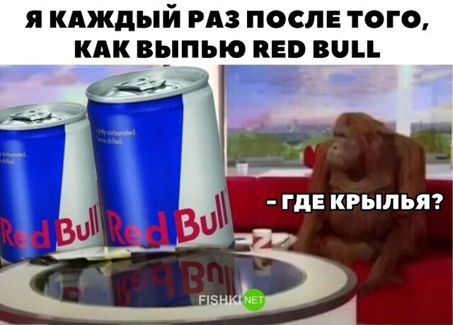 Смешные и познавательные картинки