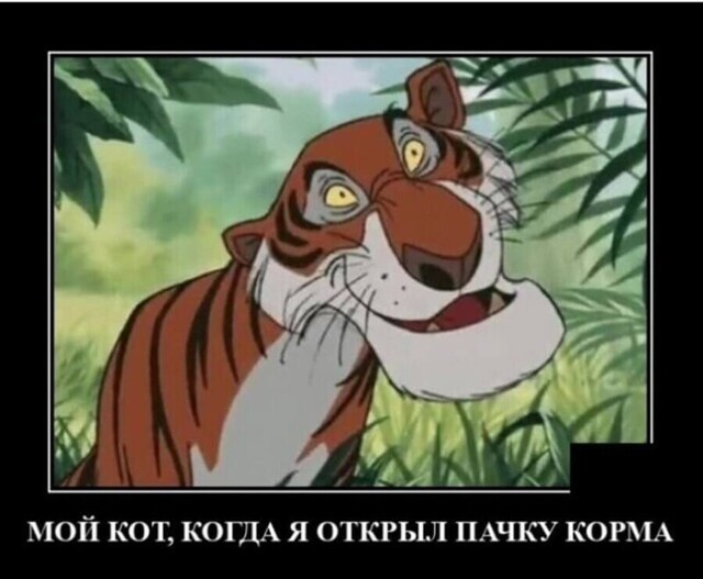 Демотиваторы: менеджеры, магазины и котики