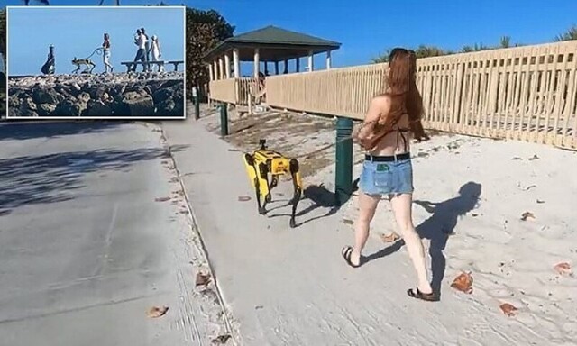 Видео: женщина выгуливает пса-робота