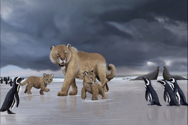 Какие, казалось бы, несовместимые животные раньше жили вместе?