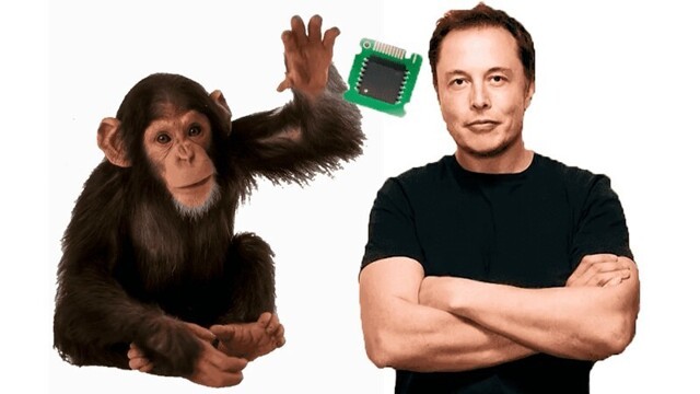 Зачем Илон Маск вживил чип в мозг обезьяны и кто следующий на очереди❔