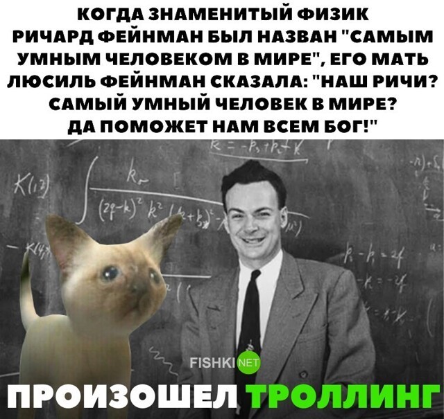 Мемы, приколы, картинки, котики, девушки, и позитив средишный