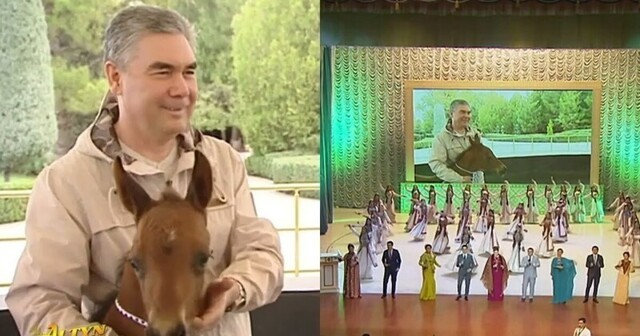 Президент Туркменистана обрадовался рождению жеребенка и написал новый хит