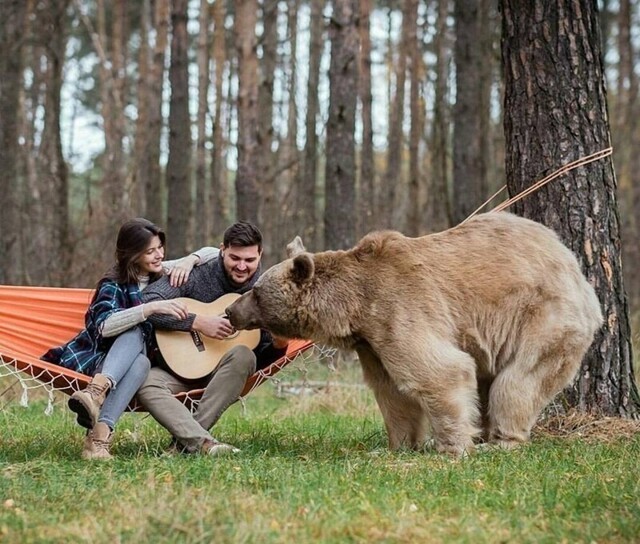 Фотоподборка