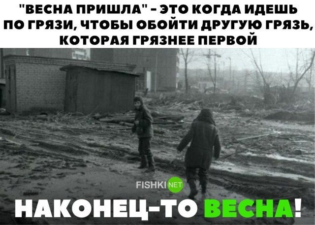 Веселые  картинки