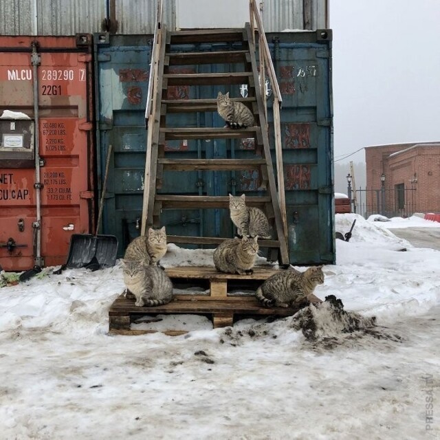 Фото приколы понедельника