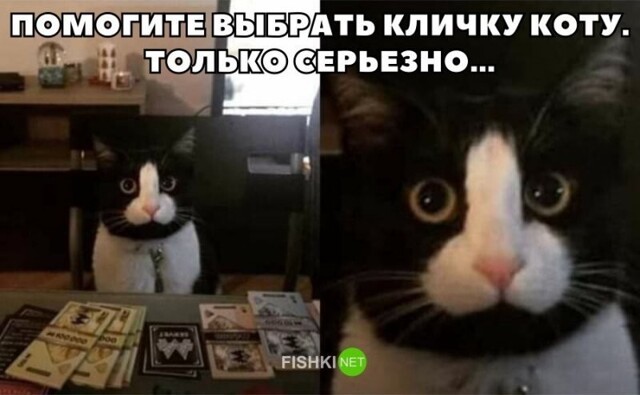 Скрины из соцсетей