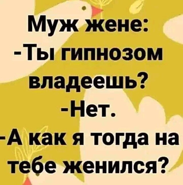 Истории на позитиве