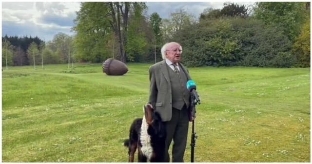 Президент Ирландии попал в курьезную ситуацию из-за своего игривого пса
