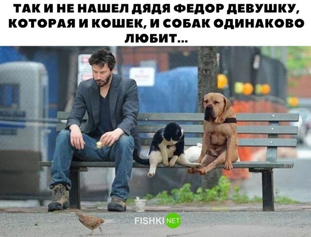 Смешные и познавательные картинки