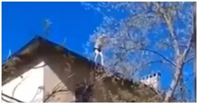 Летающий Володя: пьяный мужчина спрыгнул с крыши дома на дерево