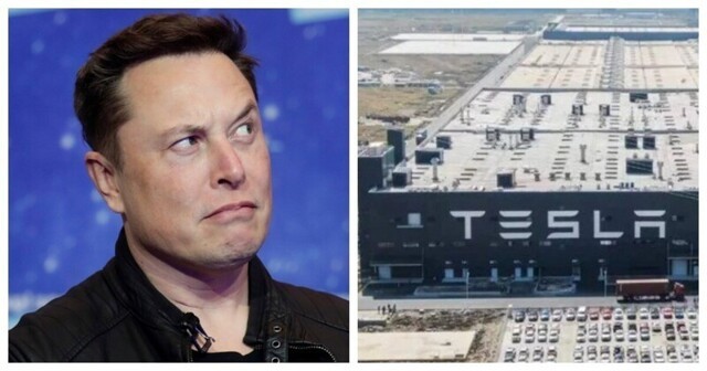 Илон Маск об открытии завода Tesla в России: видео