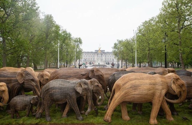Стадо слонов у Букингемского дворца