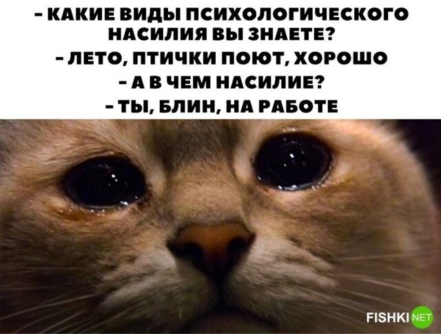 Пересмешник. Рубрика позитива с новым названием на Калейдоскопе