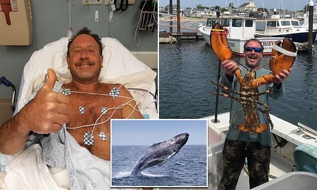 В США горбатый кит проглотил ныряльщика, а потом выплюнул его