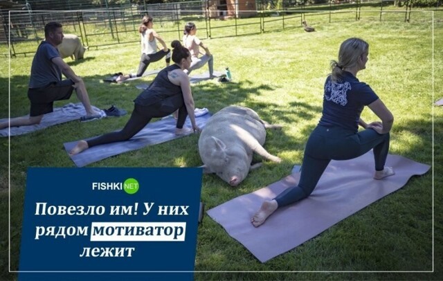 Доброе Всем утро четверга с Калейдоскопом позитива!