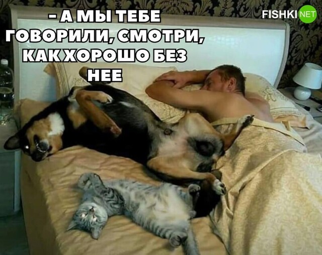 Смешные и познавательные картинки