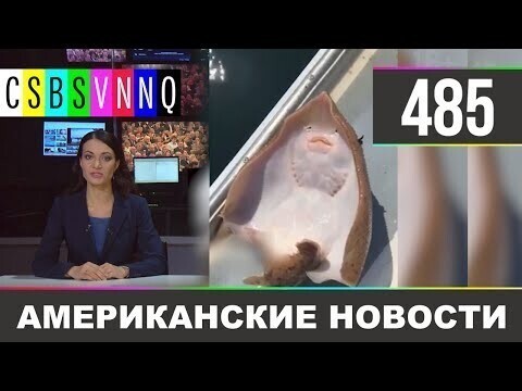 Американские новости 485