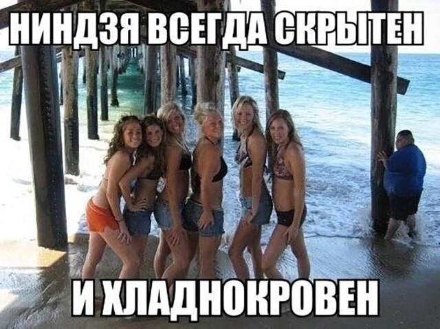 Смешные и познавательные картинки
