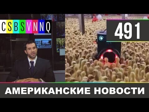 Американские новости 491