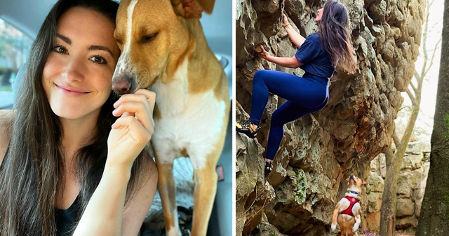 Бездомный пес увязался за туристкой, и теперь они вместе путешествуют по стране
