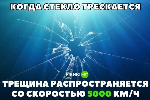 Самые интересные факты в мире