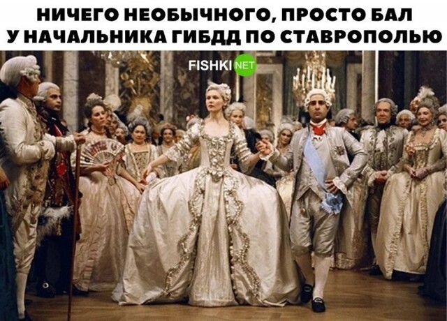 Смешные и познавательные картинки