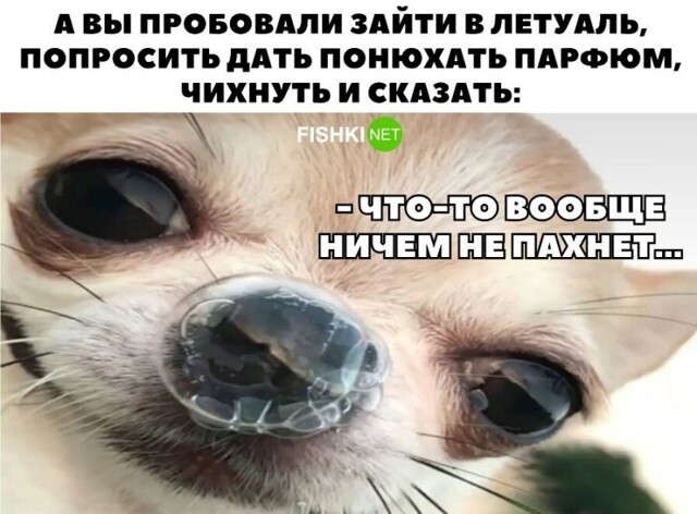 Смешные картинки из соц сетей
