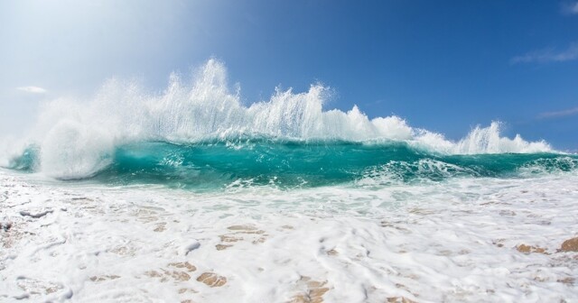30 фактов об океане, от которых у вас захватит дух