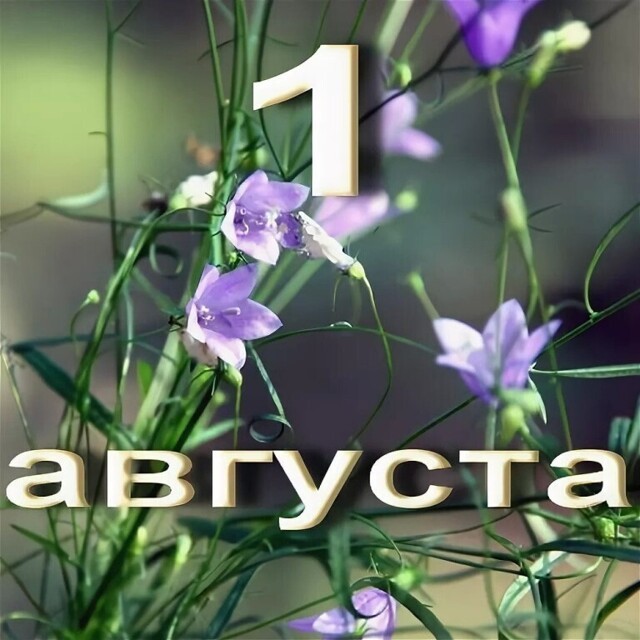 Лето, отпуск, позитив (2)