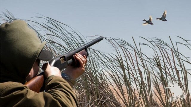 Российский охотник случайно подстрелил товарища вместо утки